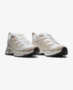 Salomon XT6 Brown (4)